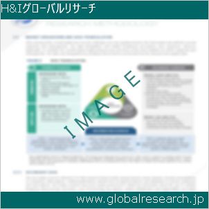 グローバルリサーチ調査レポートのイメージ